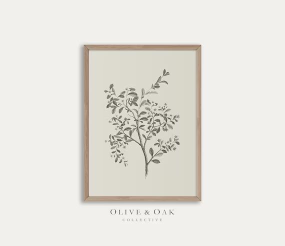 Botanical Wall Art / Simple Branch Drawing / Neutral Artwork PRINTABLE / Downloadable Flower Prin... | Etsy (US)