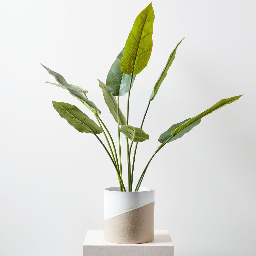 Faux Potted Bird of Paradise Plant | West Elm (US)