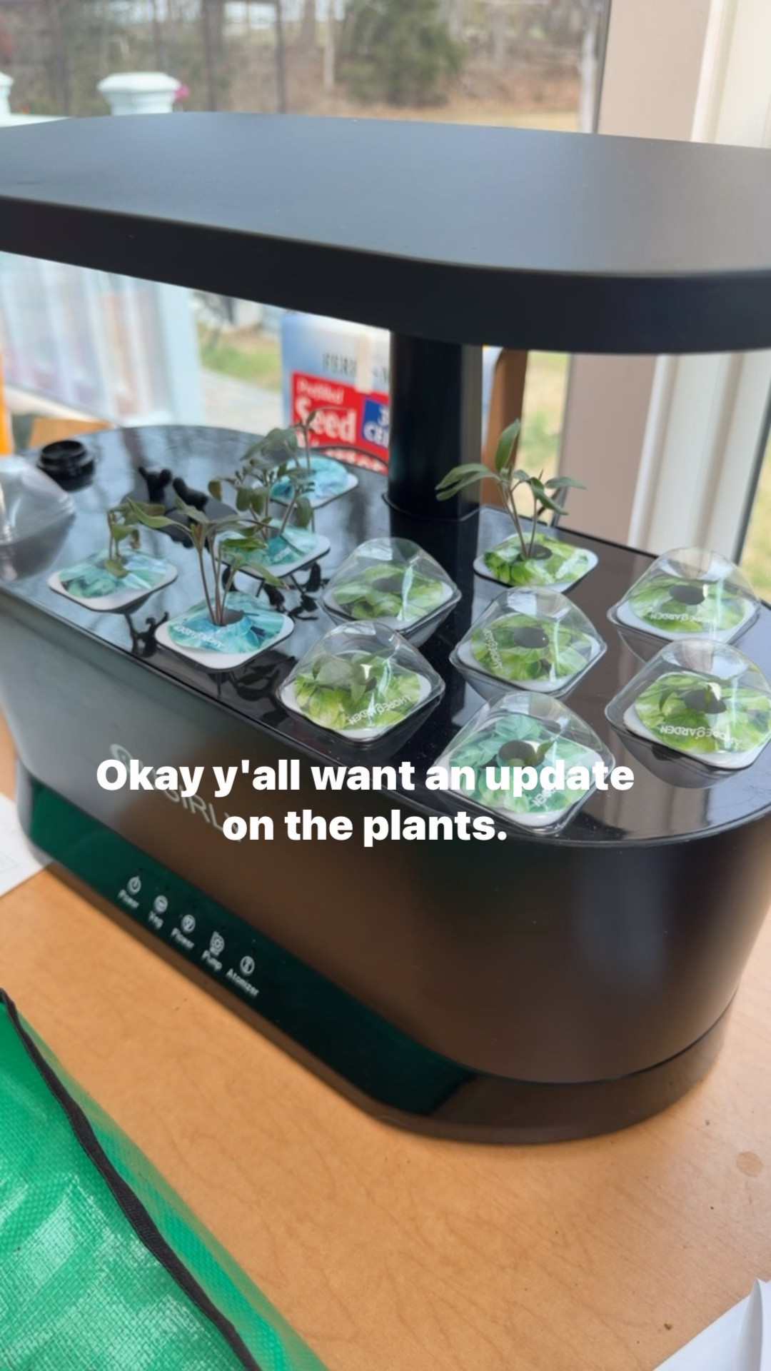 3 years strong growing our plants from seed and we love it ! 

#LTKMidsize #LTKPetite #LTKOver40