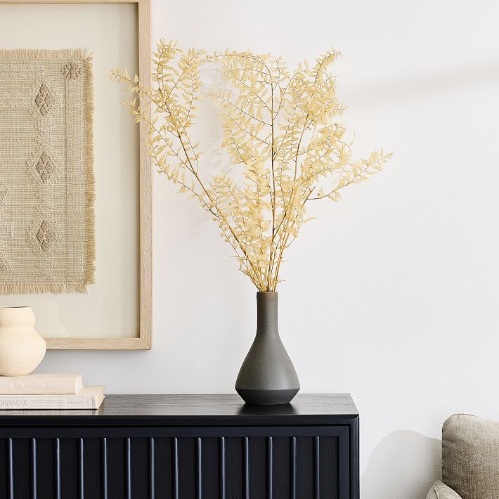 Dried Ivory Ruscus Branch | West Elm (US)