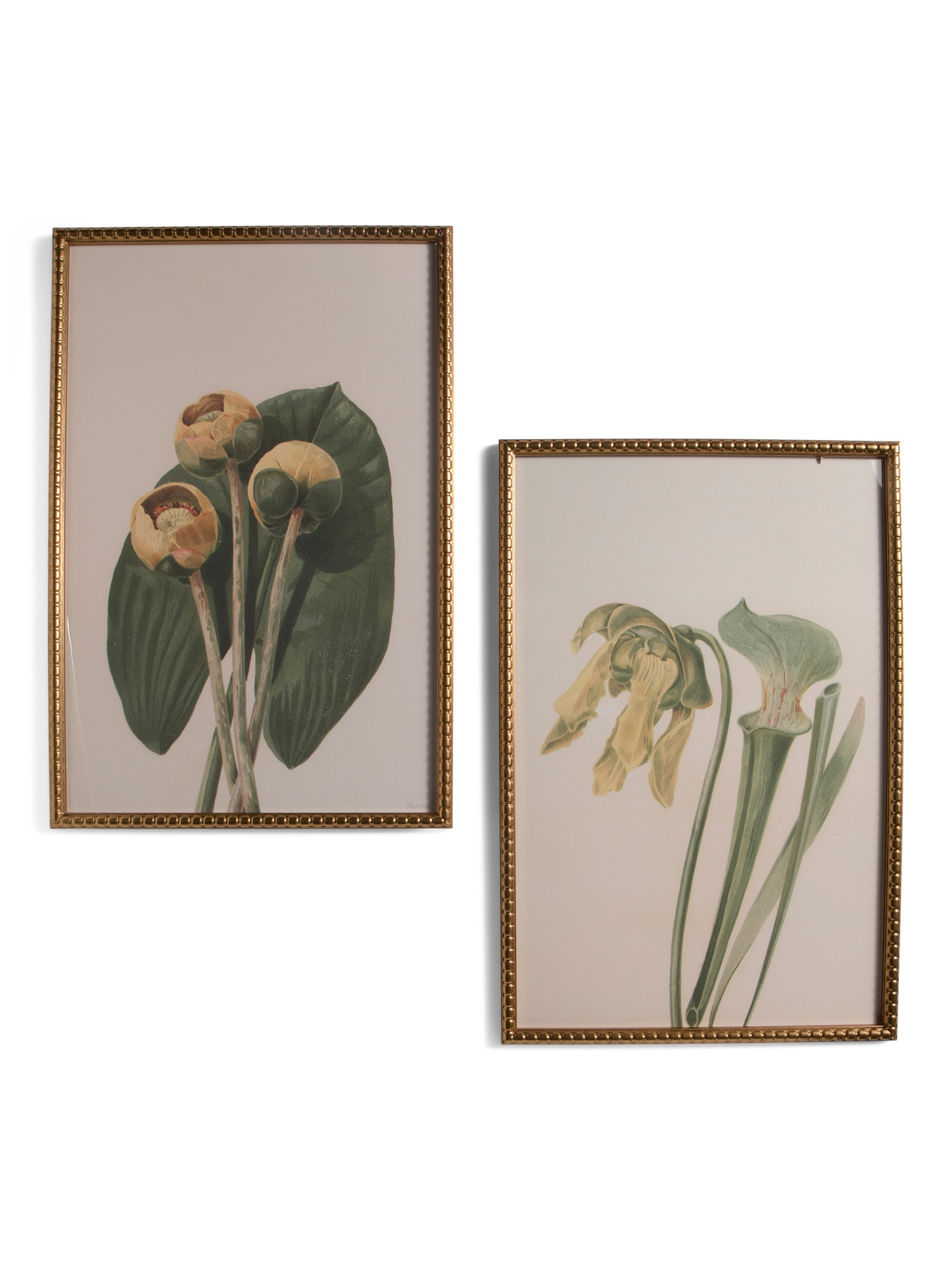 Set Of 2 30x40 Flowers Wall Art | TJ Maxx