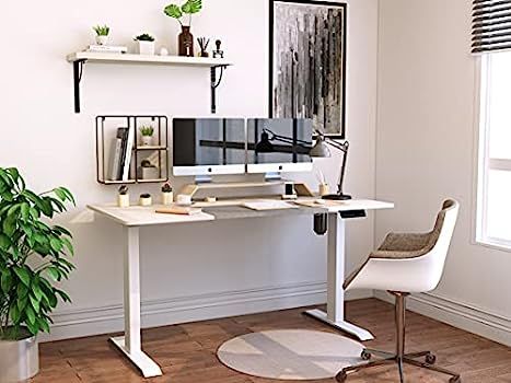 Homall Electric Height Adjustable Standing Desk 55 x 28 Inches Computer Desk Stand Up Home Office... | Amazon (US)