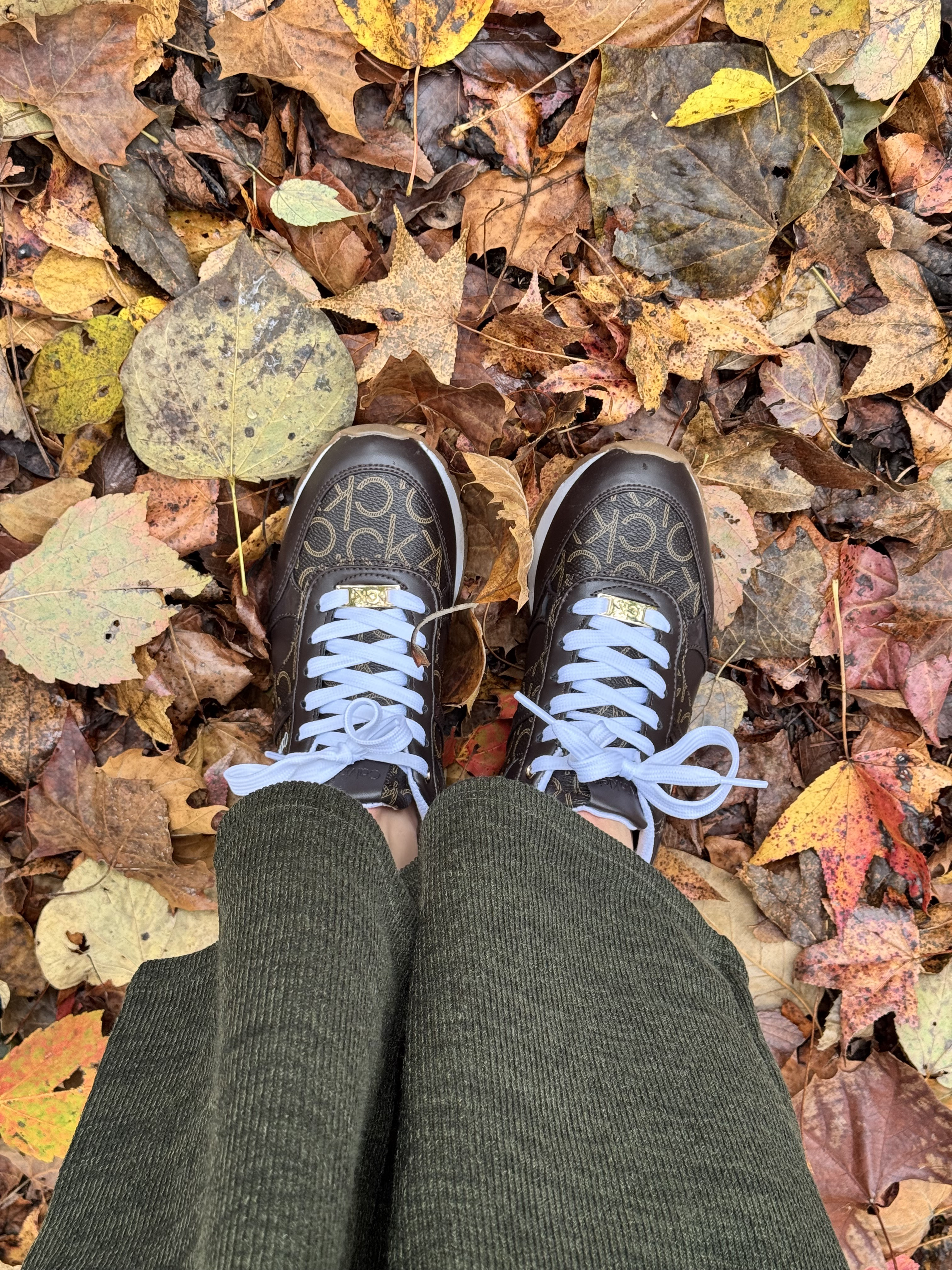 Coziest fall sneakers 🍁

#LTKFindsUnder100 #LTKStyleTip #LTKSeasonal