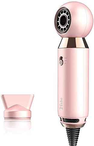 Hair Dryer, Yiiho 800W Lightweight Blow Dryer for Travel and Home,Compact Hairdryer with Concentr... | Amazon (US)