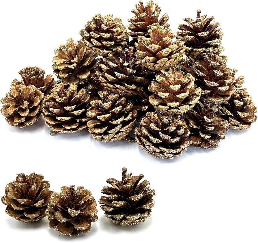 30pcs Christmas Large Pine Cones with Gold Glitter, 1.1-1.5 inch Natural Pinecones for Decorating... | Amazon (US)
