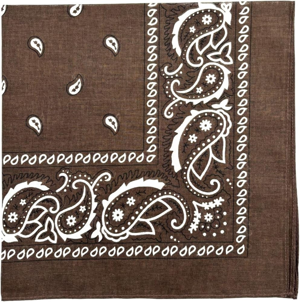 MDSTYLE 100% Cotton Bandana for Men & Women 22" x 22" Paisley Pattern Handkerchief Headband Scarf | Amazon (US)
