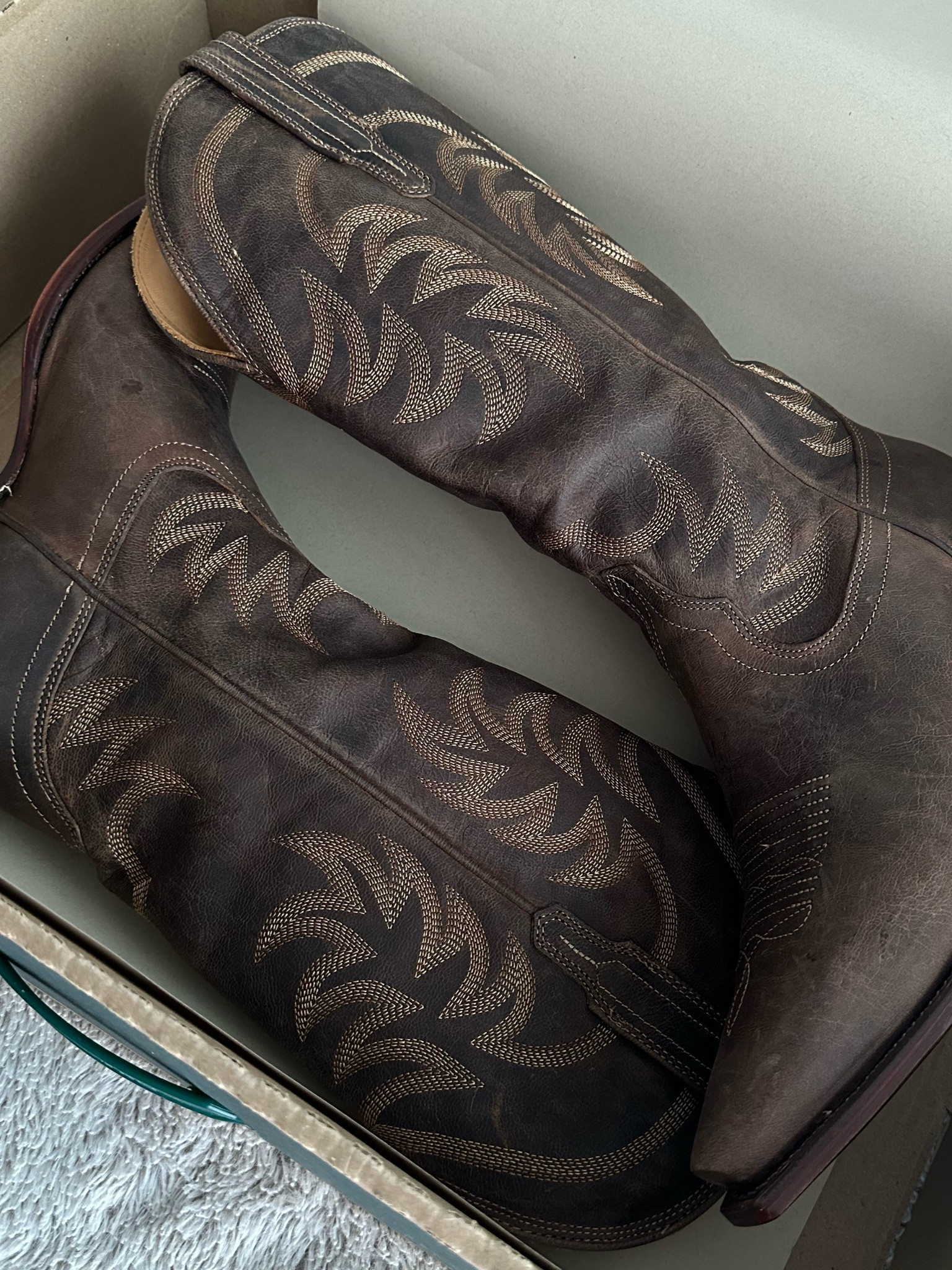 There’s a snake in my boot 🤠🐍

#LTKSeasonal #LTKHalloween #LTKStyleTip