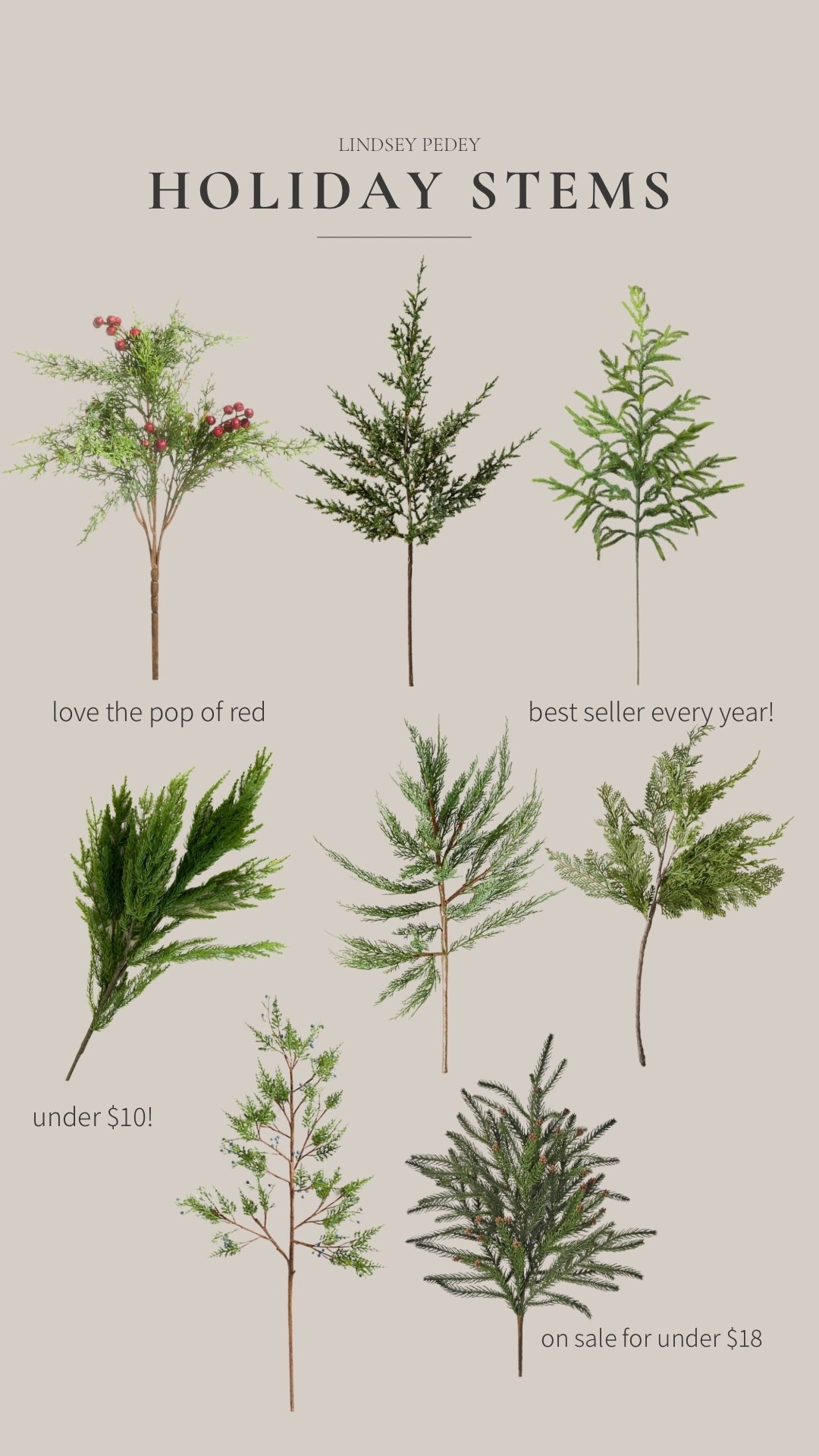 Holiday stems 🌲

#LTKSeasonal #LTKHome #LTKHoliday