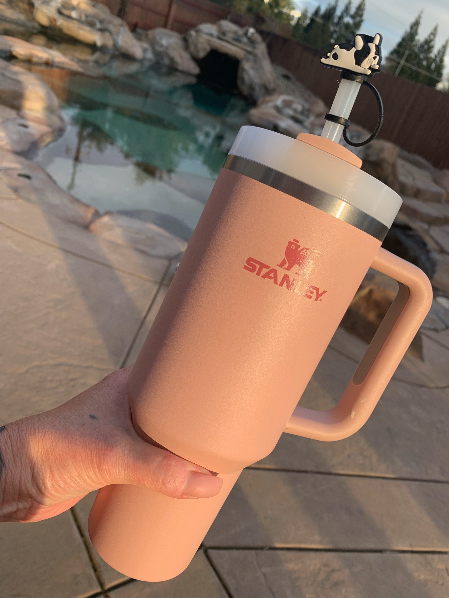 Stanley cup. Cup. Tumbler. Straw cap. Aesthetic. Cute girl finds  

#LTKFind #LTKsalealert #LTKunder50