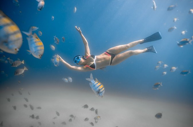 Los Cabos Snorkeling Tour to Chileno Bay and Santa Maria Cove | Viator – A TripAdvisor Company (US)