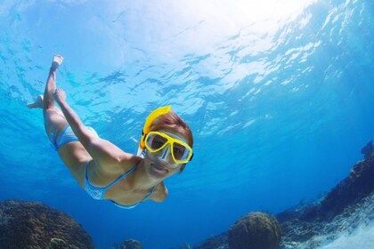 Snorkeling & Beach Safari - Curacao | Expedia | Expedia (US)