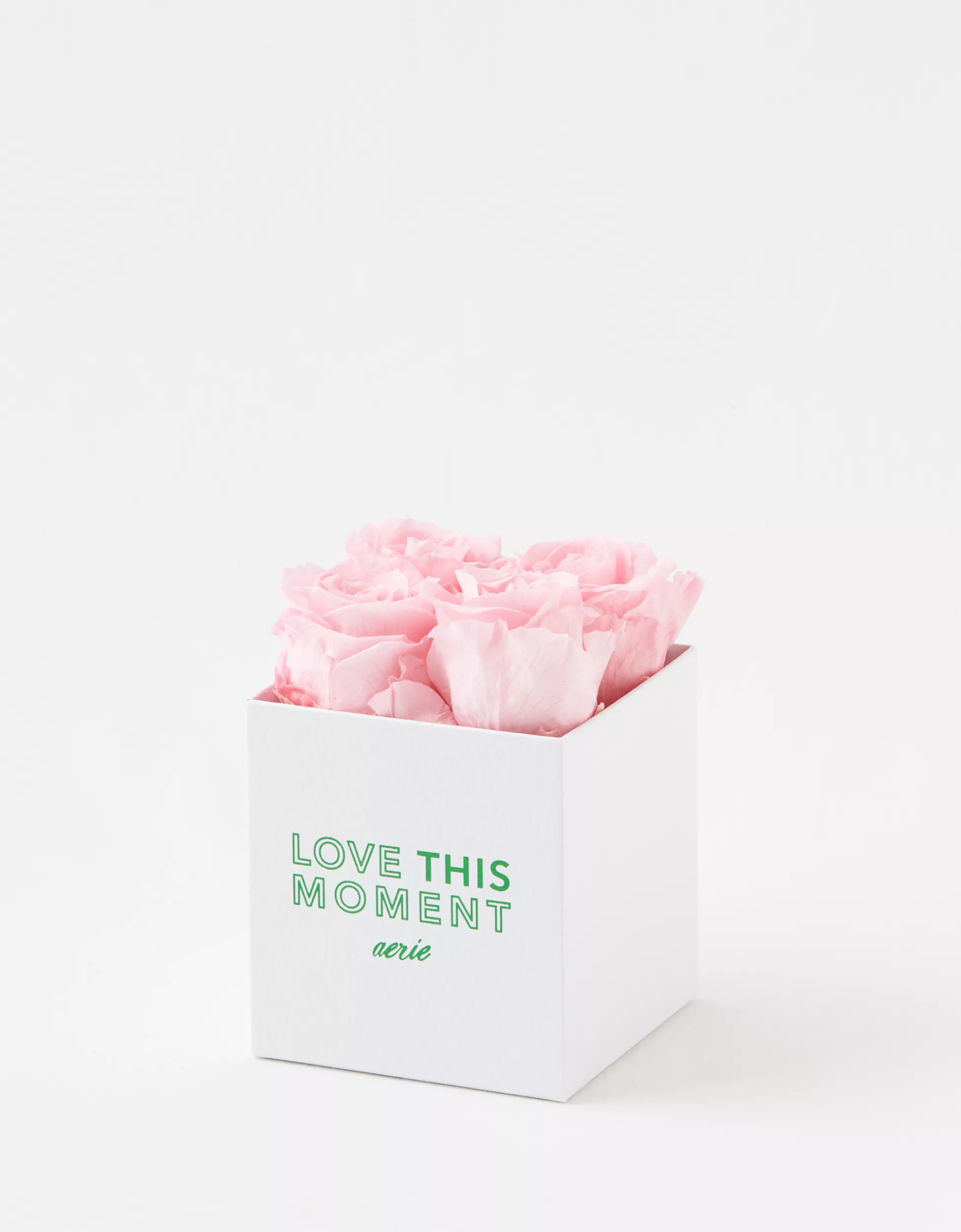 Rose Farmers Love This Moment Roses 4-Count | Aerie