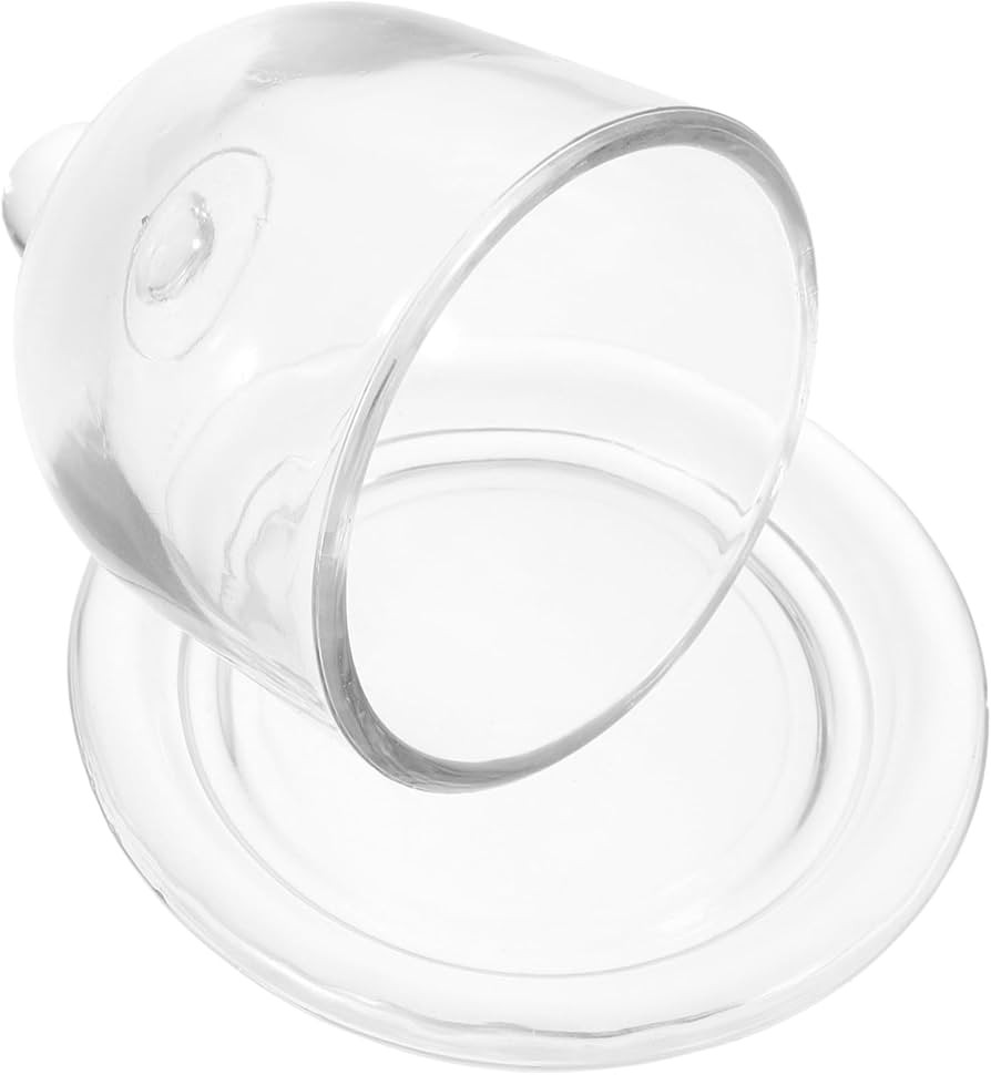 Glass Cake Tray with Dome Multi-Functional Preserved Flower Showcase Stand for Snacks Desserts an... | Amazon (US)