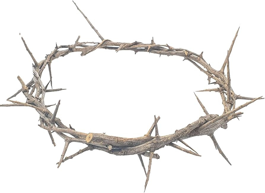 Jerusalem Authentic Biblical Lifesize Real Crown of Thorns with Box & Zuluf Certificate | Religio... | Amazon (US)