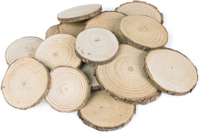 Mini Assorted Size Natural Color Tree Bark Wood Slices Round Log Discs for Arts & Crafts, Home Ha... | Amazon (US)