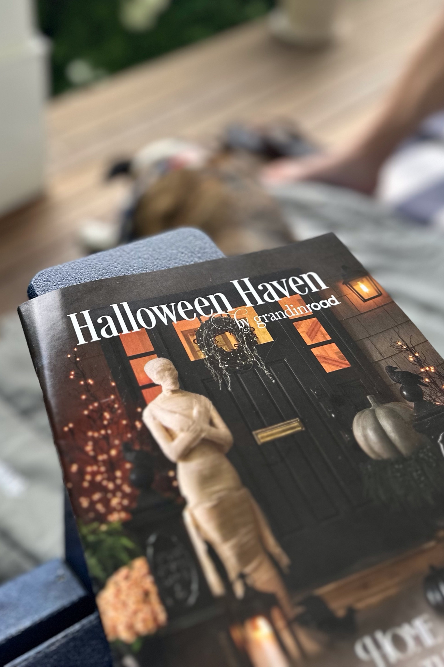 🎃 Create a hauntingly beautiful entrance with Grandin Road’s new Halloween front door decorations! From spooky wreaths to eerie doormats, make your door the spookiest on the block! 



#HalloweenDecor #FrontDoorDecor, #GrandinRoad / Halloween front door decorations, Spooky Halloween door decor, Halloween porch decorations, Outdoor Halloween entrance decor, Front door Halloween wreaths 

#LTKFamily #LTKSeasonal #LTKHome