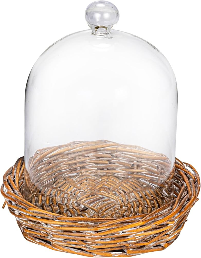 Creative Co-Op Round Glass Cloche with Woven Willow Base, Clear | Amazon (US)