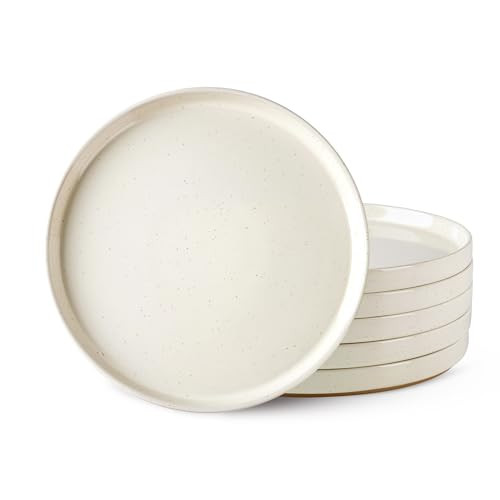 AmorArc Ceramic Dinner Plates Set of 6, 10.25 Inch Stoneware Plates for Kitchen,Modern Flat Dinnerware Dishes Set,Microwave& Dishwasher Safe, Scratch Resistant-Beige | Amazon (US)