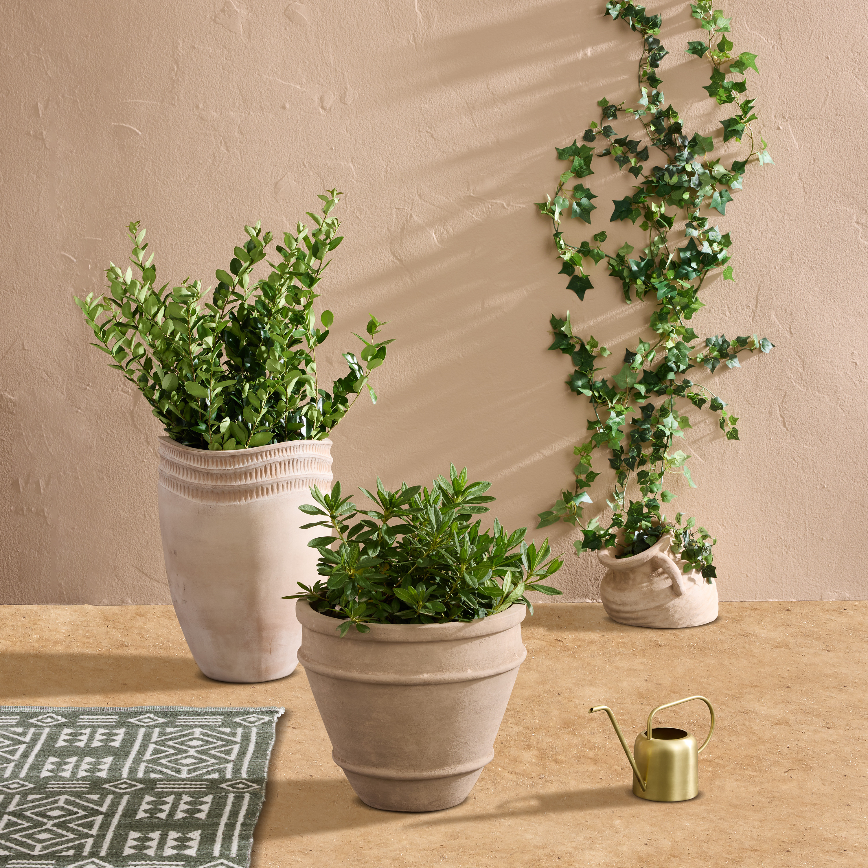 Tarassa Washed Terracotta Outdoor Planter Collection | World Market