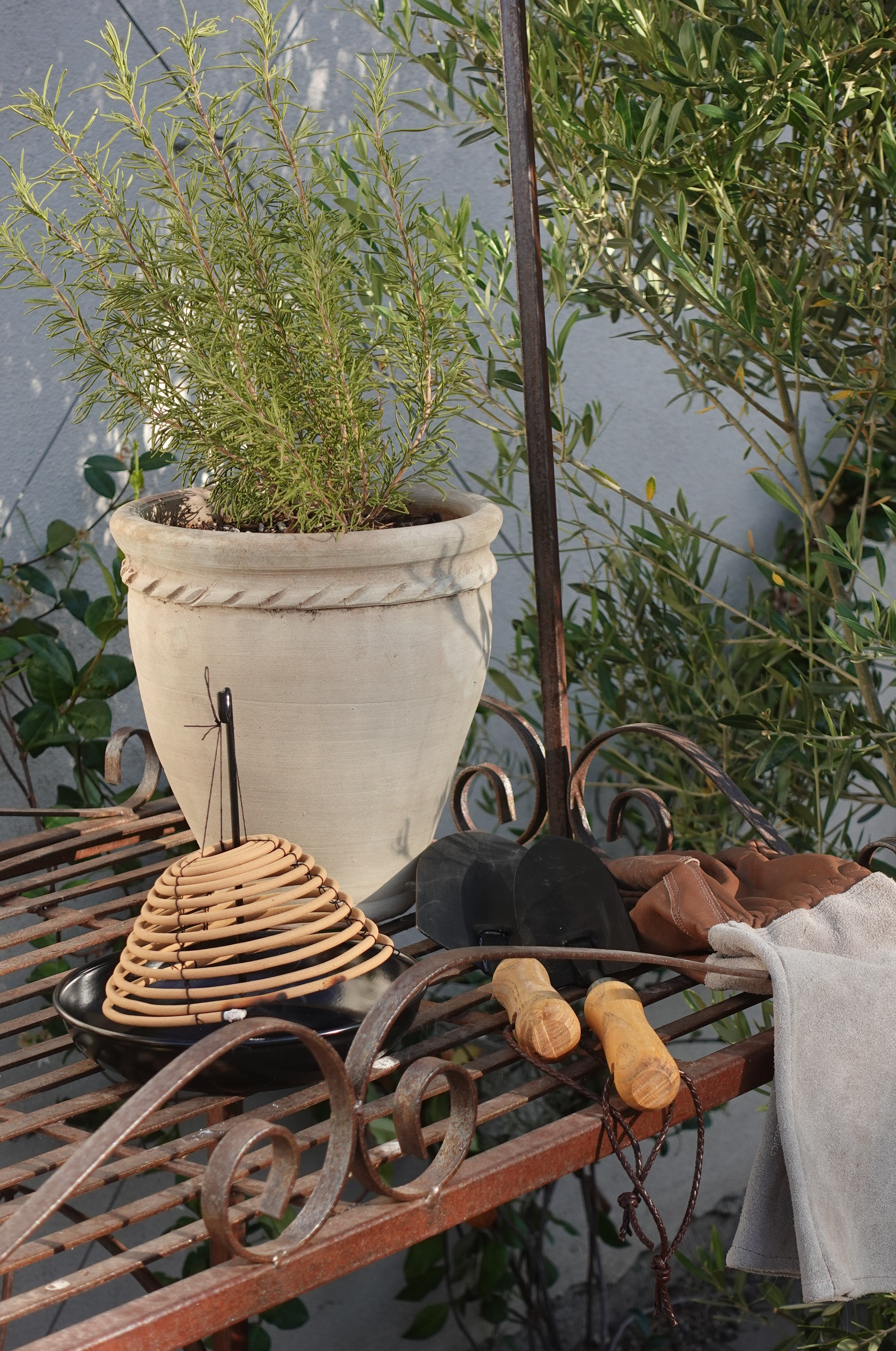 Bug traps I've been using for years! 

#LTKSeasonal #LTKHome
