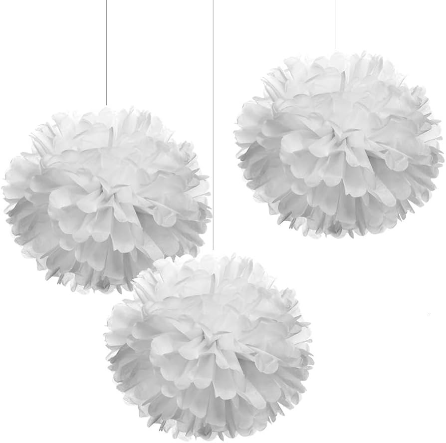 12" White Tissue Pom Poms DIY Hanging Paper Flowers for Party Decorations, 12 pcs | Amazon (US)
