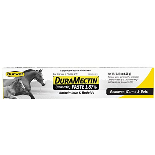 DuraMectin Ivermectin Paste 1.87% Horse Wormer 1 Tube (for Horses only) | Amazon (US)