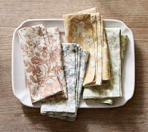 Sorrel Toile Organic Cotton Napkins - Set of 4 | Pottery Barn (US)