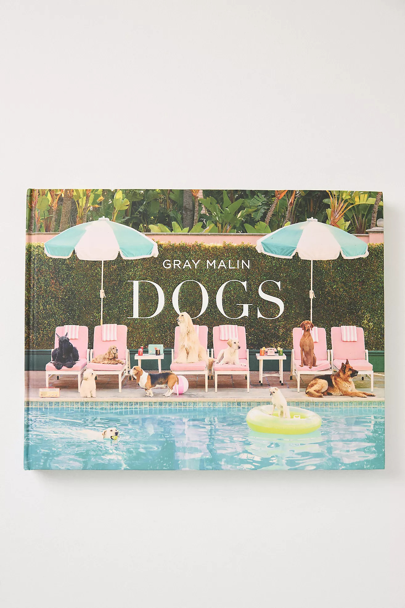 Gray Malin: Dogs Hardcover Book | Anthropologie (US)