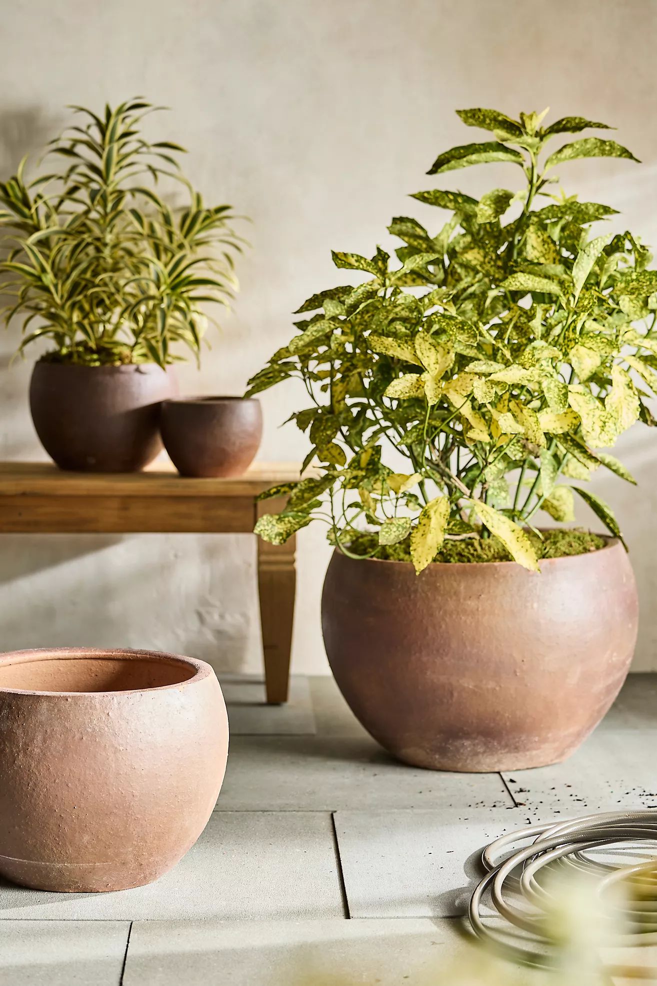 Terracotta Globe Planter | Anthropologie (US)