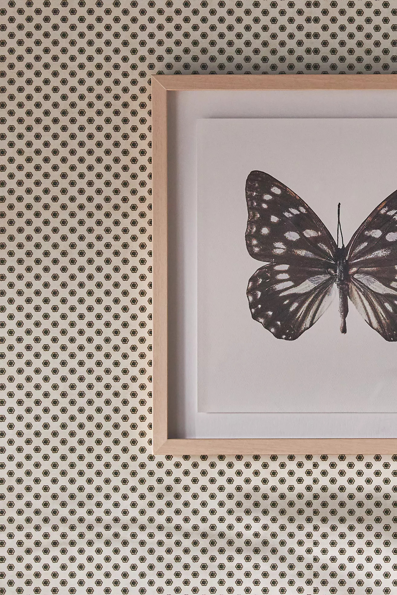 Ditsy Flower Wallpaper | Anthropologie (US)