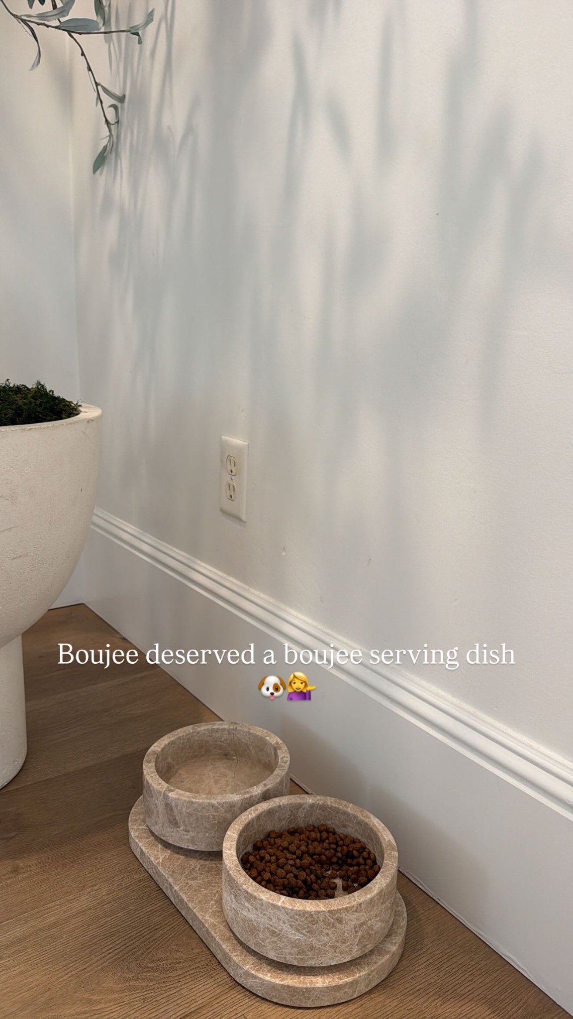 Boujee deserved a boujee serving dish
🐶💁‍♀️