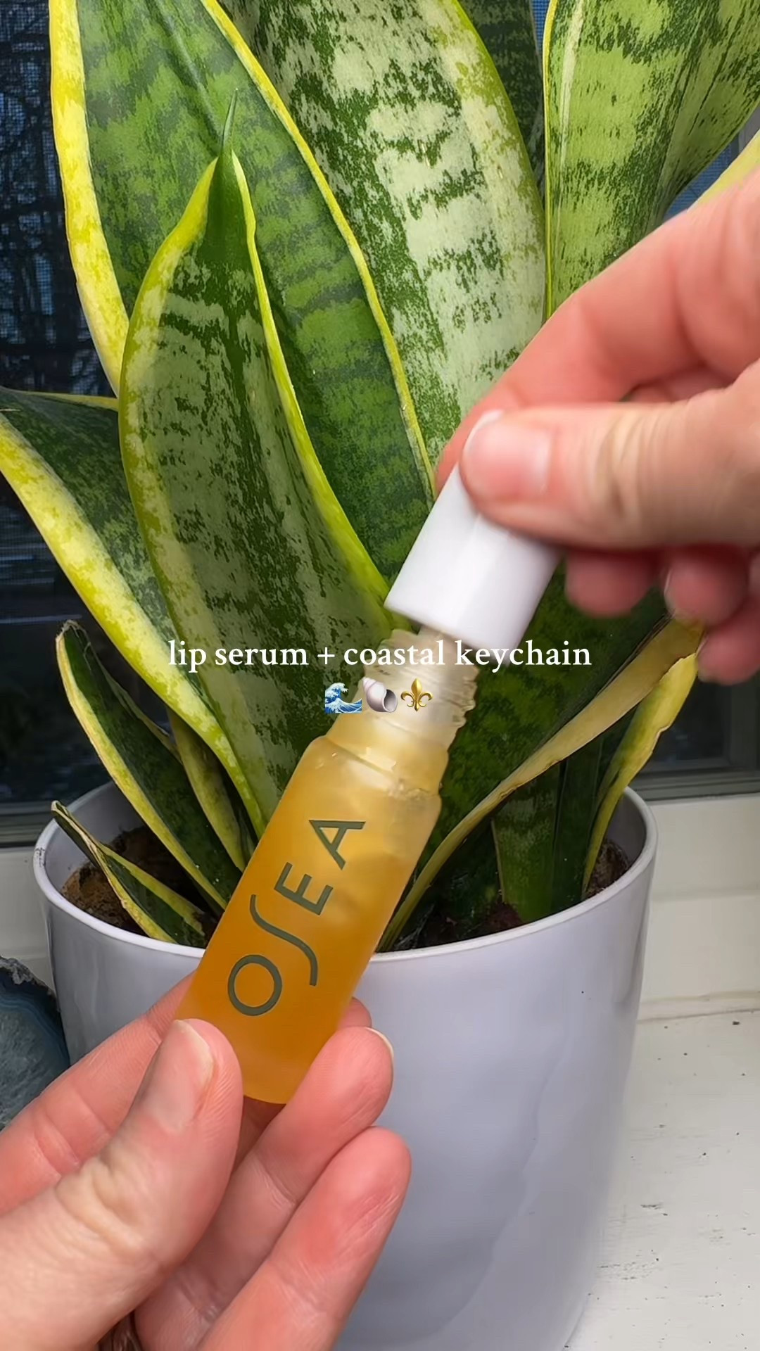 hyaluronic lip serum 

#LTKselfcare #LTKFindsUnder100 #LTKGiftGuide