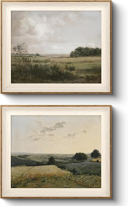 VIYYIEA Vintage Landscape Framed Wall Art 2 Set, Nature Wilderness Scenery Paintings Decor Aesthe... | Amazon (US)