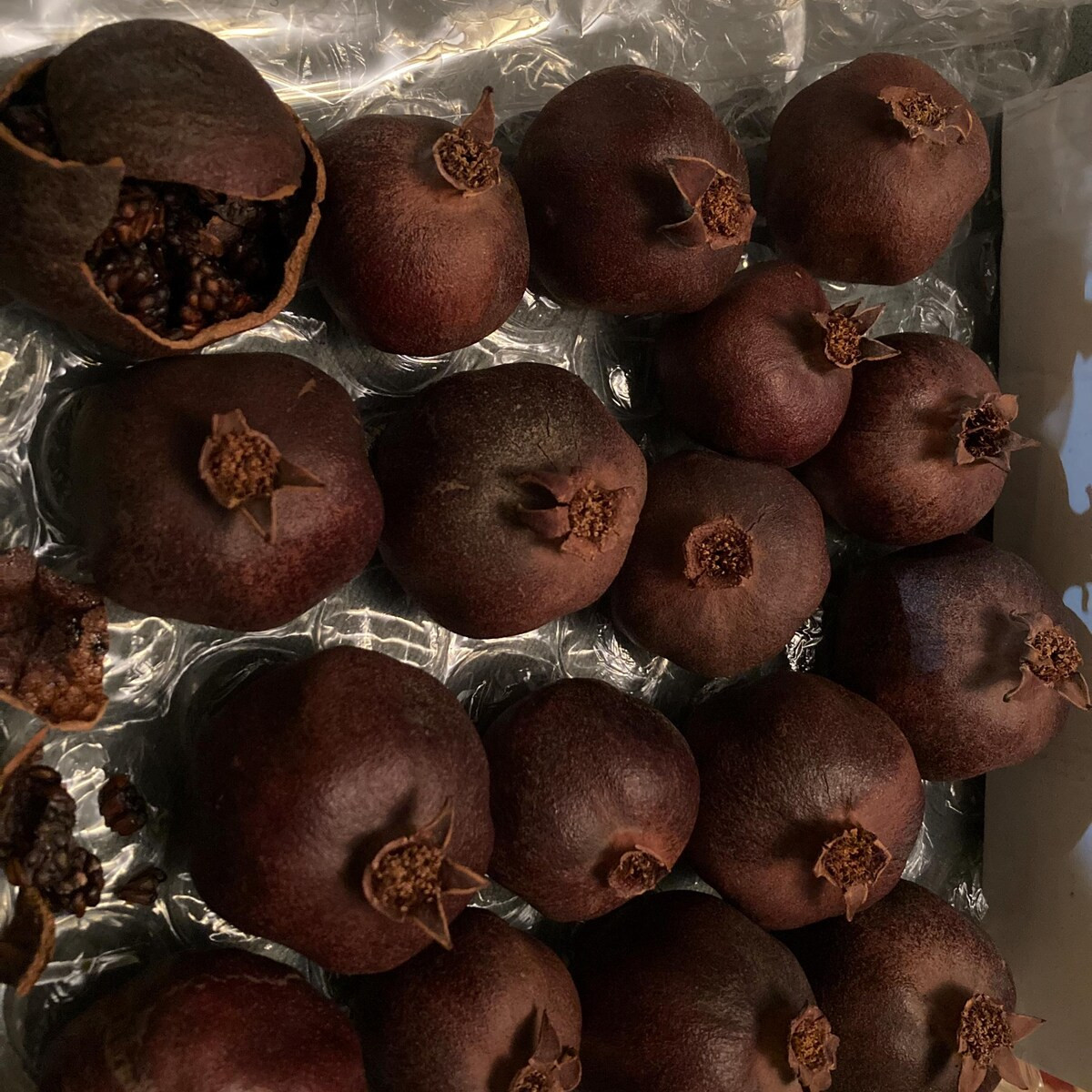 Dried Pomegranate Decor - Etsy | Etsy (US)