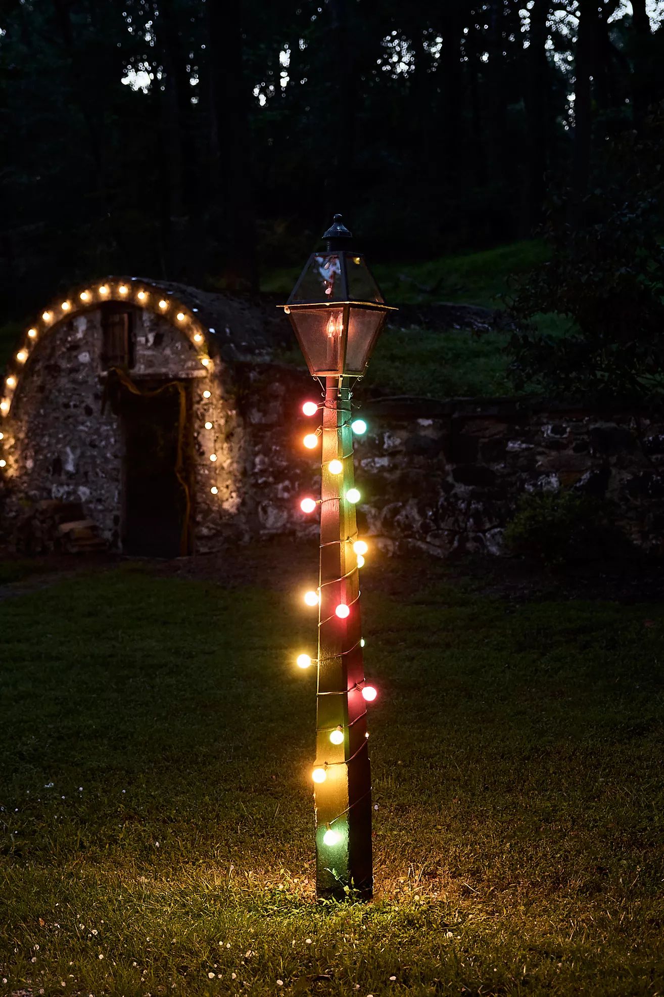 Stargazer Garden Lights Color Story Bulbs, Winter Set of 21 Bulbs Only | Anthropologie (US)