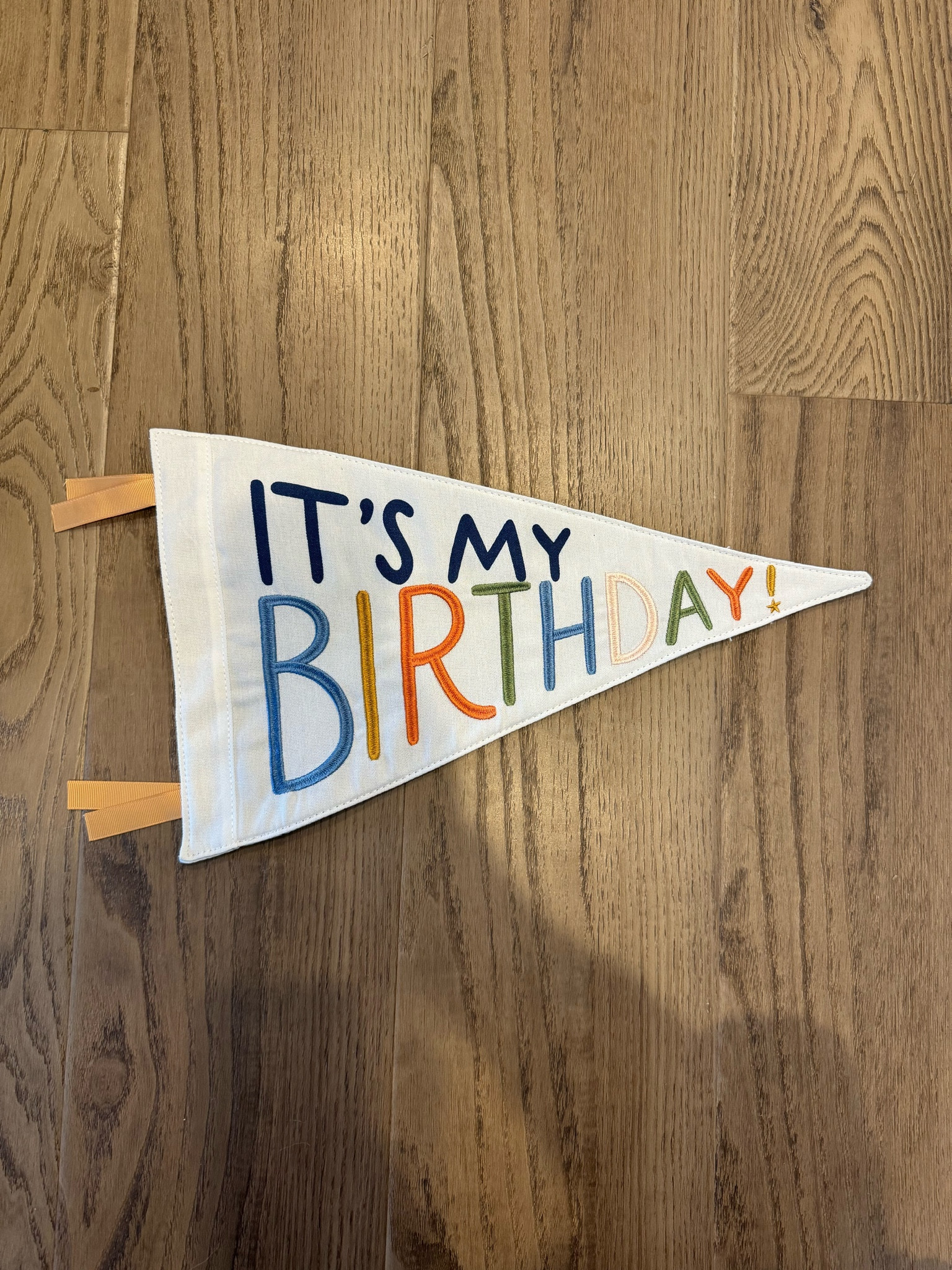 Birthday Pennant for birthday photos. 

Birthday/kids birthday/birthday pennant/birthday photos

#LTKFamily #LTKKids