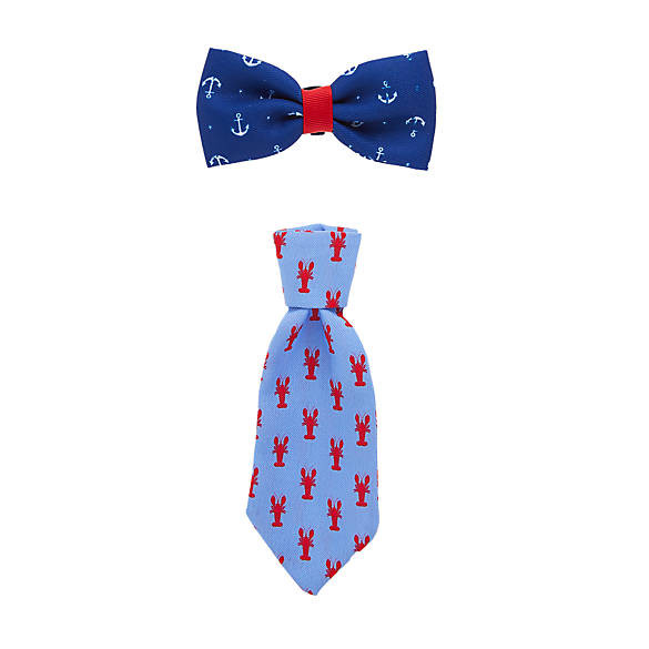 Top Paw® Nautical Bow and Tie Collar Slide Accessory Set | PetSmart