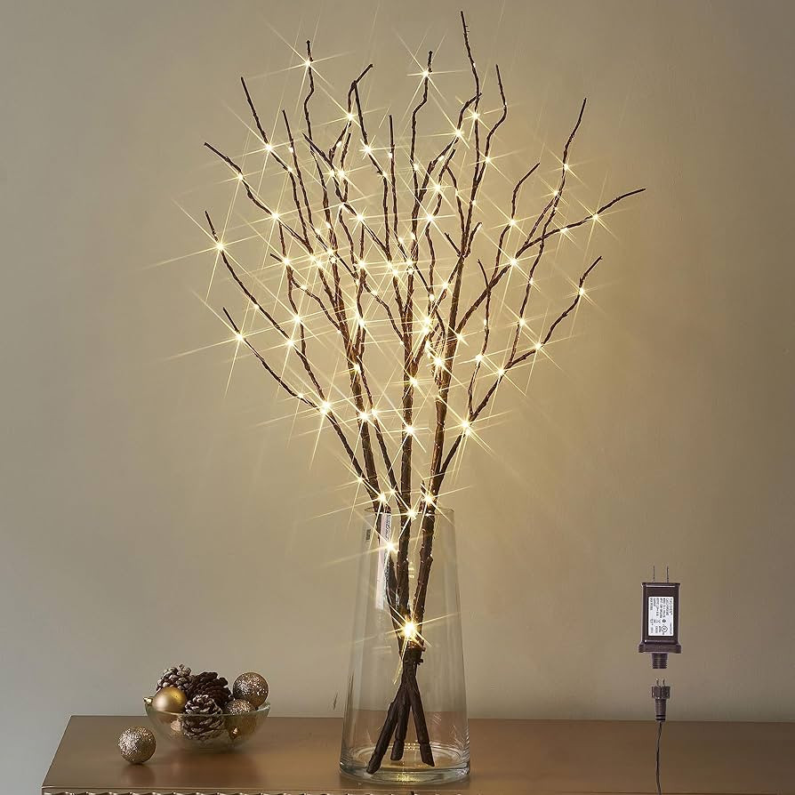 LITBLOOM Lighted Brown Willow Branches 30IN 150 LED Plug in with Timer and Dimmer Tree Branch Lig... | Amazon (US)