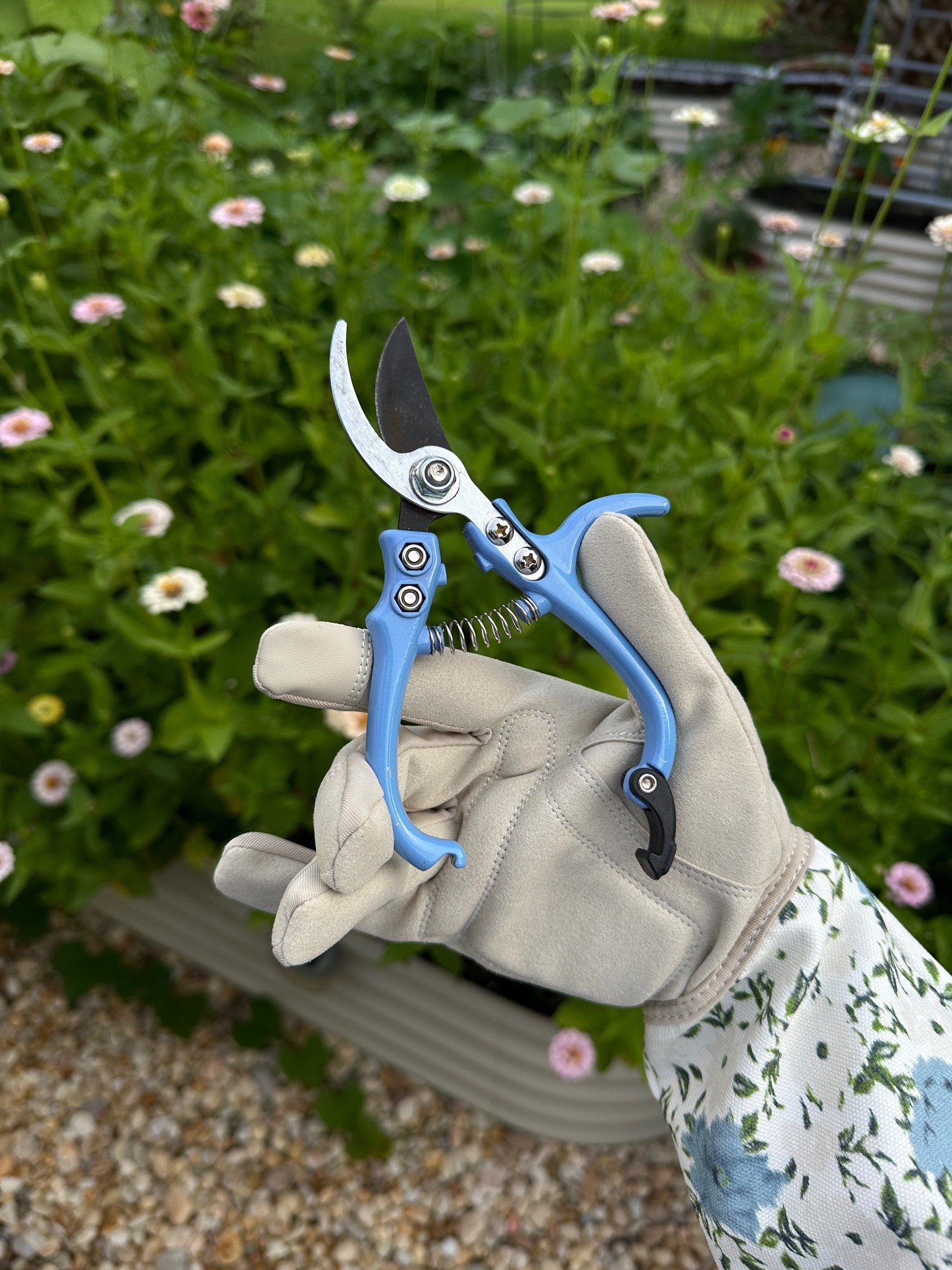 Best pruners! #garden #gardentooks #shopterrain

#LTKHome