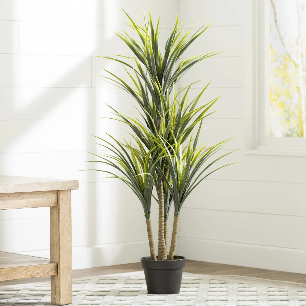 Boulanger 40" Artificial Green Yucca | Wayfair North America