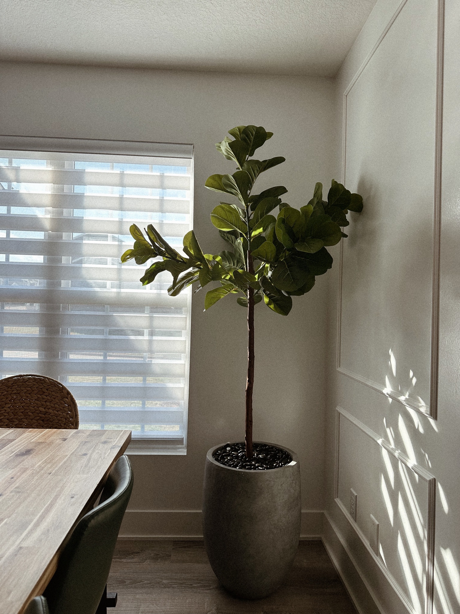 love the sunshine
 dining room decor | faux tree decor | wall paneling | dining table | zebra blinds #LTKMostLoved #LTKSpringSale

#LTKhome