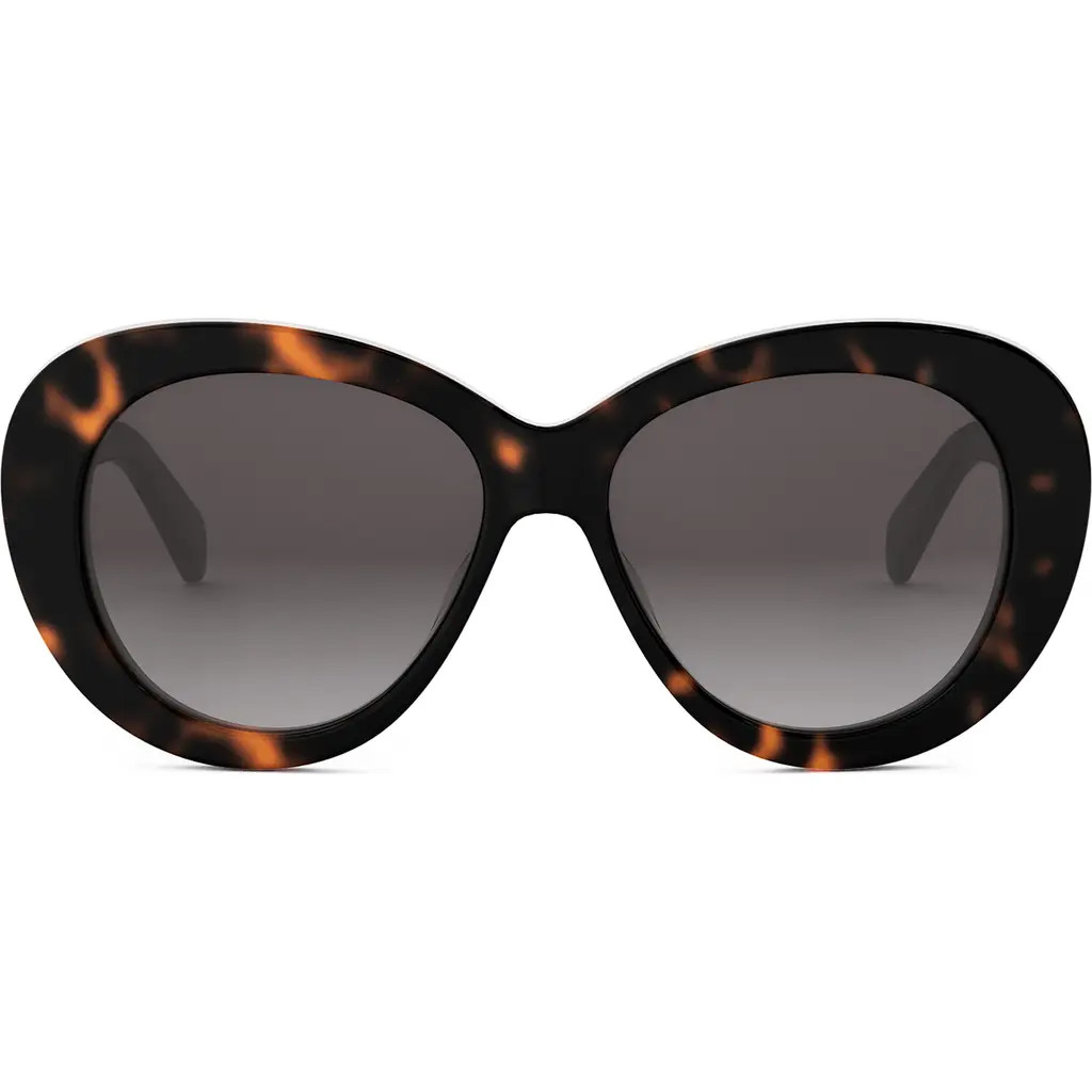 CELINE Triomphe 55mm Gradient Butterfly Sunglasses in Dark Havana /Gradient Brown at Nordstrom | Nordstrom
