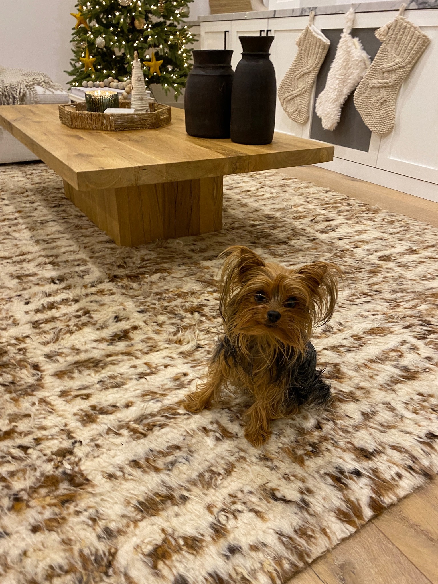 Coziest living room rug 🤎 

#LTKhome #LTKSeasonal