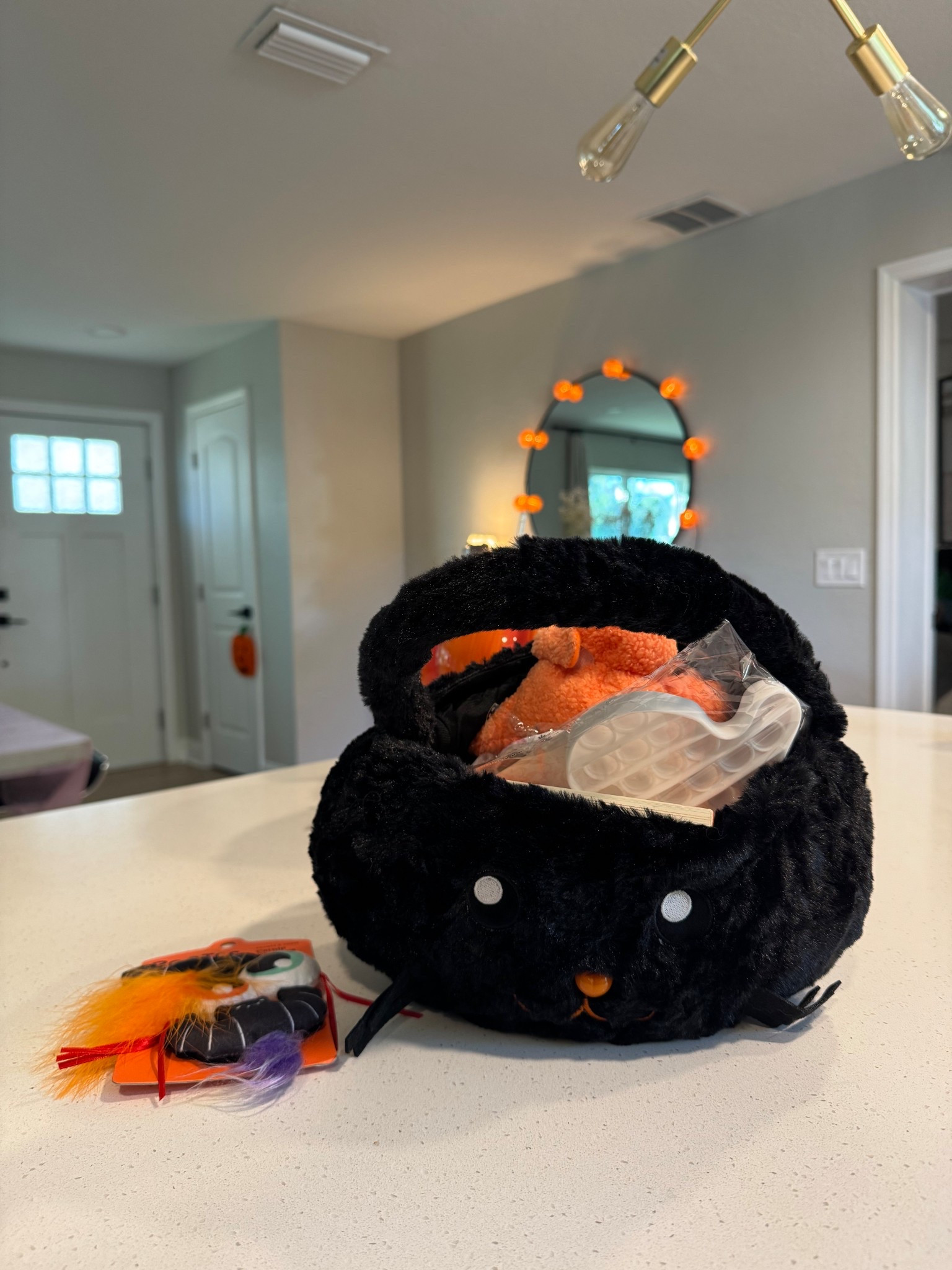 Halloween cat basket :)

#LTKFindsUnder50