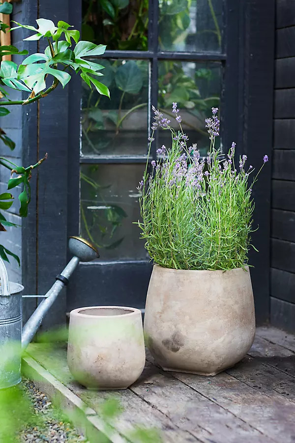 Aged Ceramic Planter | Anthropologie (US)