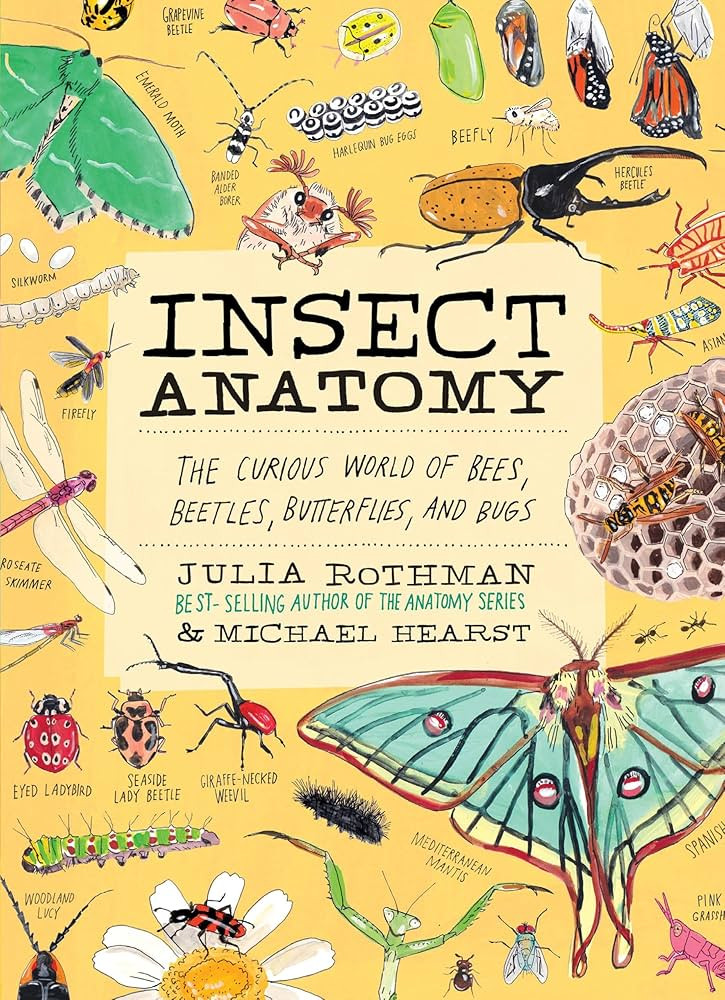 Insect Anatomy: The Curious World of Bees, Beetles, Butterflies, and Bugs | Amazon (US)