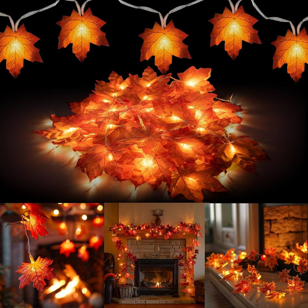 Dazzle Bright 2 Pack Thanksgiving Maple Leaf String Lights, Total 20FT 40 LED Battery Operated Li... | Amazon (US)