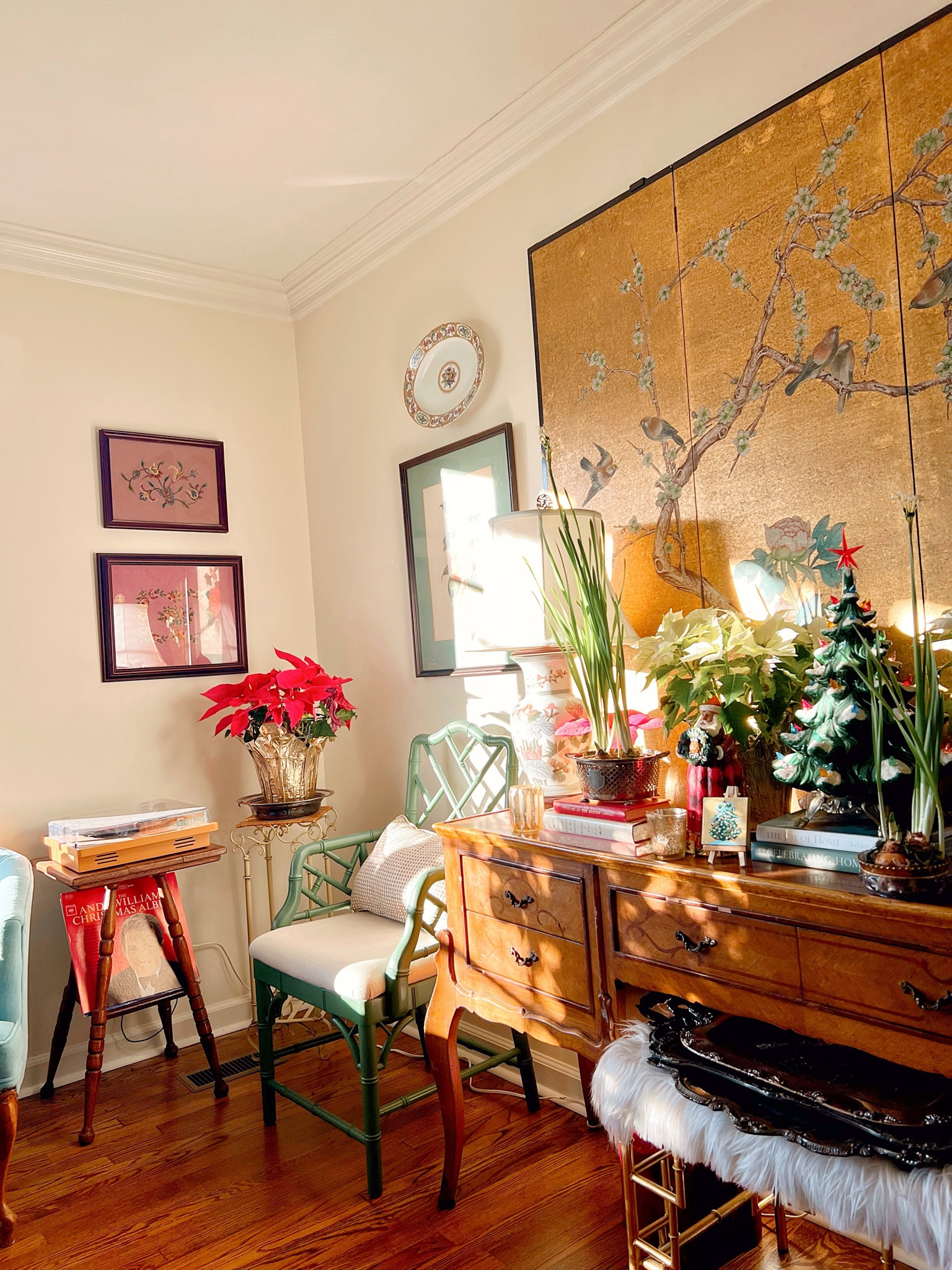 The paperwhites are reaching for the sun this morning!

#LTKHome #LTKHoliday #LTKSeasonal