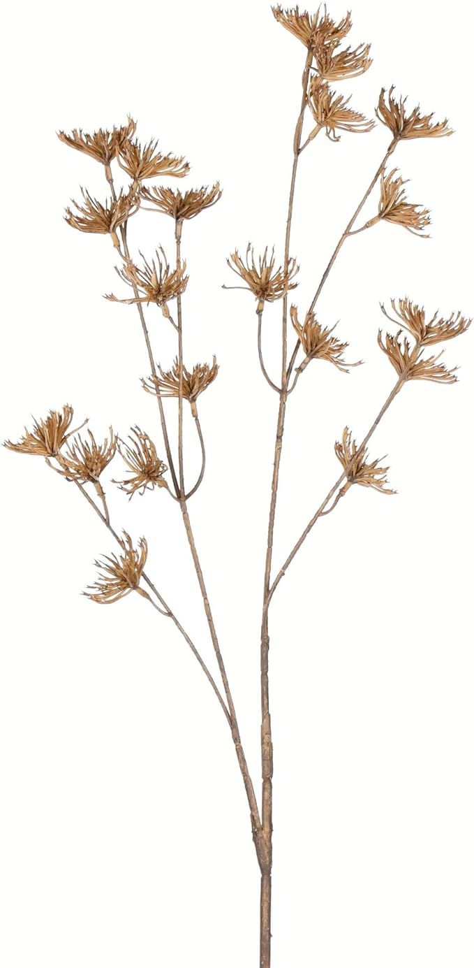 Vickerman Everyday 26" Artificial Beige Anne Lace Spray - Faux Floral Decor - Home Or Office Arra... | Amazon (US)