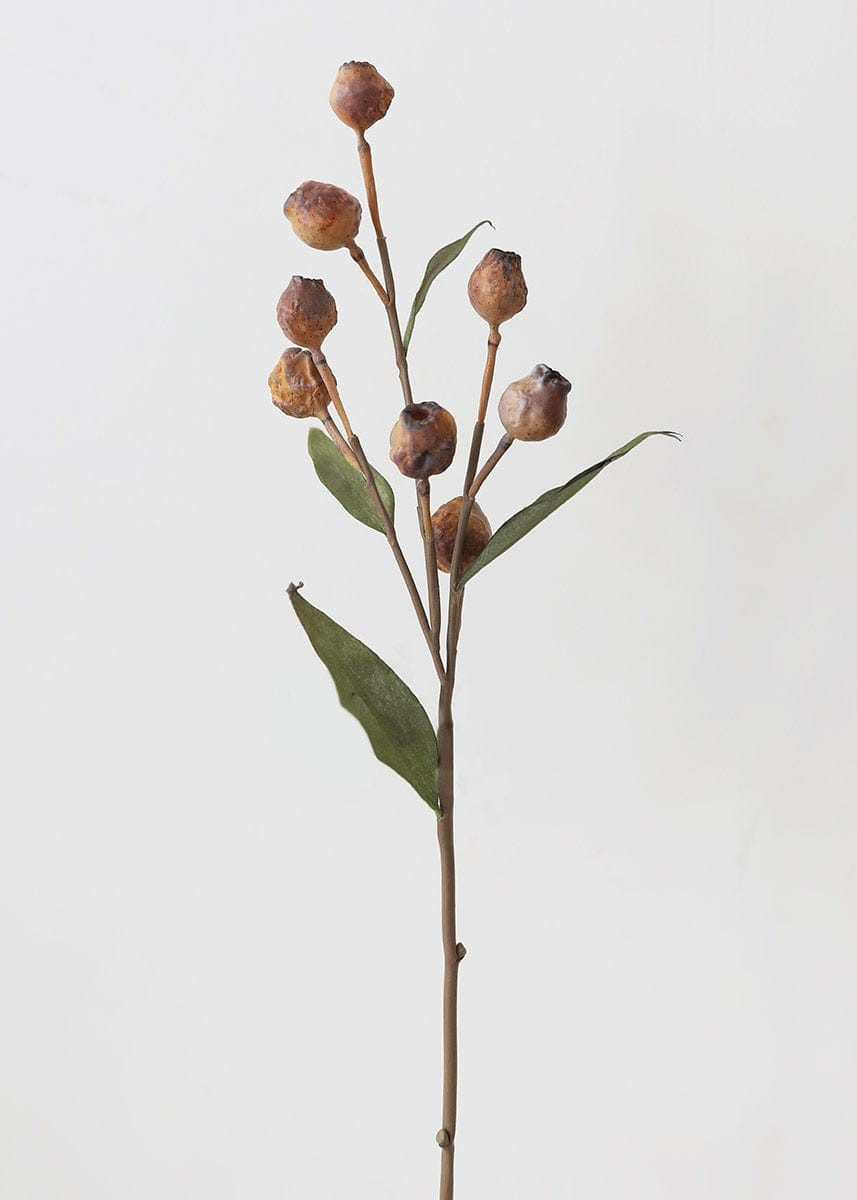Faux Dried Eucalyptus Pods in Cinnamon - 25 | Afloral
